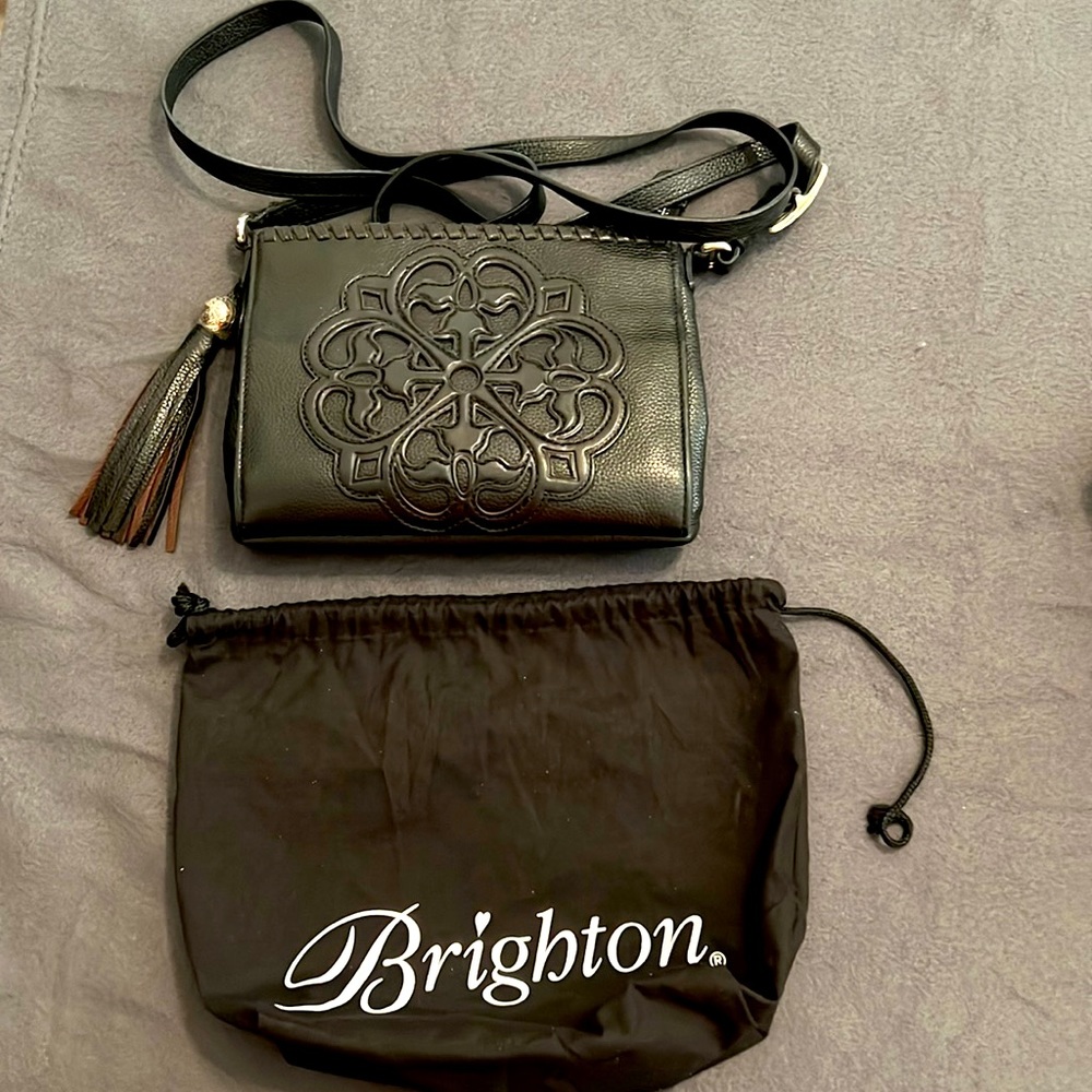 Brighton Ferrara City Organizer